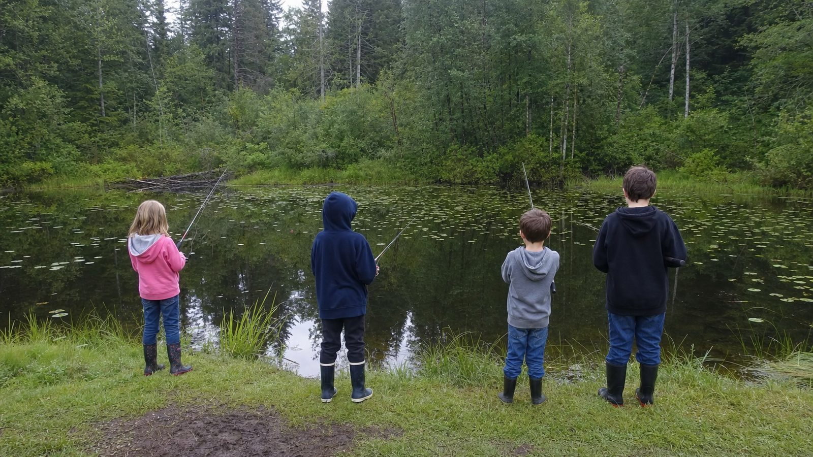 Four Cub Scouts fishing from the bank of a forest pond, seen from behind, looking out over the water and lily pads.